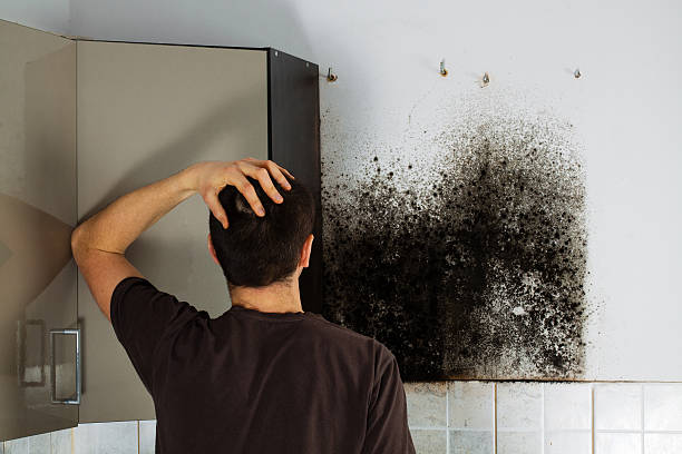 Home Mold Removal in East Point, GA